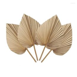 Decorative Flowers 6Pcs Natural Tropical Dried Palm Leaves Decoration Boho Trimmed For Weddings Wall Bedroom