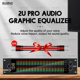 2U Graphic Equaliser 31 Band Balanced Effect Controller DJ Digital Mixer Processor DSP Audio Feedback Eliminator Stage Karaoke 240110