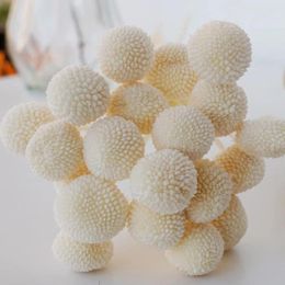 Decorative Flowers 20pcs Natural Plant Dried Colour Billy Balls Eternal Life Flower Ball Home Decor Wedding Bouquet DIY Material