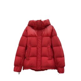 Mens Veste Homme Outdoor Winter Jassen Outerwear Big Fur Hooded Fourrure Manteau Down Jacket Coat Hiver Parka Doudoune size S-M-L 3JZ3N