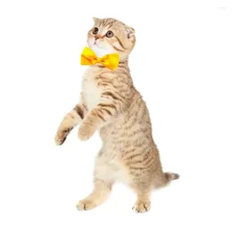 Dog Apparel Cat Collar Trendy Stylish Adorable Comfortable Durable Cat/dog Collars 12-color Pet Bow Tie Accessories