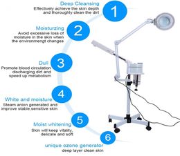 Oversea 3 in 1 UV Ozone Face Steamer Cold Light LED 5X Magnifier Floor Lamp Facial Body Tattoo Makeup Lamp Beauty Spa Salon Tool7671050