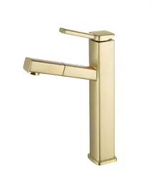 Bathroom Sink Faucets Tall/Low Brass Faucet Pull Out And Cold Water Basin Mixer Tap Modern Design Lavabo One Hole Handle