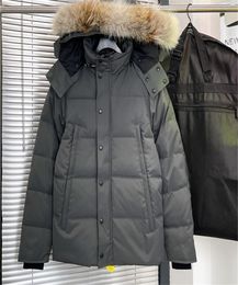 Man designer puffer coat fashion designer jacket canada Puffer Jackets Men Designer Real Coyote Fur Outdoor Street Jindian windproof warm down jacket z6