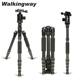 Monopods W669c Carbon Fibre Camera Tripod Monopod Professional Lightweight Travel Heavy Duty Stable Ball Head Compact Stand for Dslr