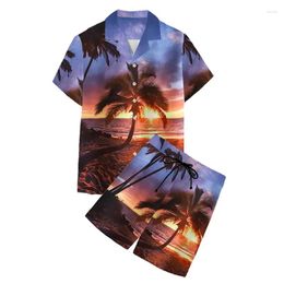 Men's Casual Shirts Summer T-Shirts Coconut Palm Scenery Hawaiian Shirt Set For Men/Women Beach Short Sleeve Oversized