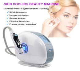 Portable Cryo Skin Cooling Electroporation EMS Device Facial Lifting SkinCare Mesotherapy Antiageing Wrinkle Machine4044714