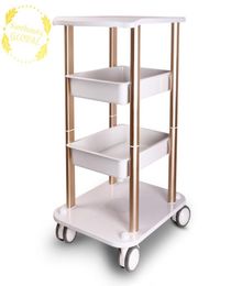 Salon Furniture Trolley Spa Styling Pedestal Rolling Cart Two Shelf Abs Aluminium US Stock In Beauty Center7480292