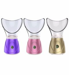 Moisturizing Mist Steam Sprayer Facial Humidifier Thermal Sprayer Skin Care Deep Cleanser Beauty Instrument 370w Face Steamer SH195680526