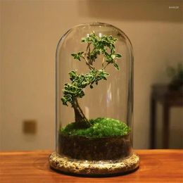 Bottles Glass Dome Cover Terrarium Bottle With Wooden Bases Jar Display Stand Immortal Flower Box Dust Covers Decor Boxes