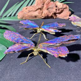 Natural Stone Heart Dragonfly Ornaments Artware Crystal Minerals Reiki Healing Quartz Silver Gifts Home Decor Jewellery Making