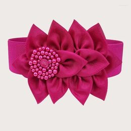 Belts Suitable For Waist 62- 72cm Elastic Belt Women Korean Style Large Flower Decorative Fashionable Wide Seal Dress Accessories Matc