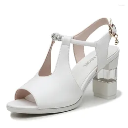 Sapatos de vestido verão primavera mulheres sandálias moda alta saltos grossos fivela plataforma peep toe sexy para senhoras qualidade tamanho 35-39