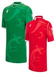 2023 Wales RUGBY JERSEY Fans Tops tshirt Welsh rugby shirt big size 4xl 5xl Custom name and number5503019