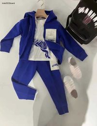 New baby tracksuits kids autumn suits Size 100-160 Blue stripe design Zipper hooded jacket shirt T-shirt girl Short skirt Jan10