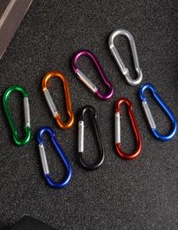 Carabiner Ring Keyrings Key Chain Outdoor Sports Camp Snap Clip Hook Keychains Hiking Aluminum Metal Stainless Steel Hiking Campin4316412