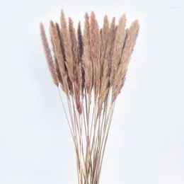 Decorative Flowers Decorativas Natural Dried Small Pampas Grass Phragmites Artificial Plants Wedding Flower Bunch For Home Decor Fake