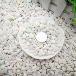 Garden Decorations Gardening Potting Stones Pebbles White Natural Alabaster Coloured Patio Landscaping