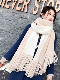 Scarves Free Shipping Women Winter Scarf Imitation Cashmere Tassel Stoles Pashmina Scarve Pareo Foulard Femme Ladies Hijab Bufanda Shawl Q240111