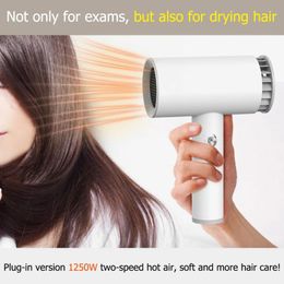 Dryer Universal 2in1 AC 220V USB Rechargeable Hot and Cold Wind Hair Dryer Travel Blow Dryer for Art Painting Home Outdoor