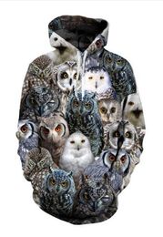 New Fashion Harajuku Style Casual 3D Printing Hoodies Owl Men Women Autumn and Winter Sweatshirt Hoodies Coats BW01744840922