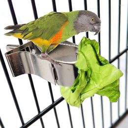 Other Bird Supplies Birds Food Holder Pet Parrot Feeding Fruit Vegtable Clip Feeder Device Pin Clamp Durable Household Cage