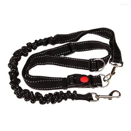 Dog Collars Cat Harness And Leash Walking Dual Handle Bungee Tie Out Cable Heavy Duty Retractable