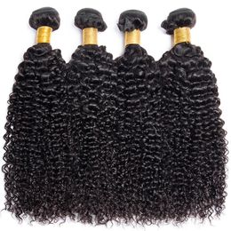 10A Raw Brazilian Hair Bundles Kinky Curly Bundles Human Hair Weave Wholesale Hair Bundles Virgin Hair For Women 240111