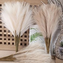 55CM 5/1 piece fluffy Pampas grass Bohemian decorative flowers fake plants Reed simulated wedding party Christmas home decoration artificial flowers 240111