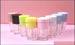 Packing Bottles 6Ml PinkYellowPurpleNude Pink Big Brush Lip Gloss Tube Drop Delivery 2021 Backpackboyzhome Dhuth1006420