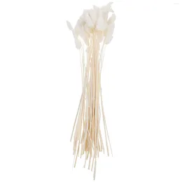 Decorative Flowers 60 Dried Tail Grass Lagurus Tails Pampas Rustic Wedding Decor For Floral