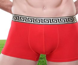 Underwear Soft Breathable Health Big Scrotum Men Underware Pouch Pack Shorts Clothes China Boxers Cheeky Cotton Solid AM556 5xl6760954