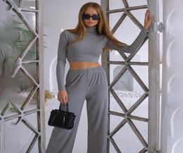 Women Fashion 2pcs Outfit Set Long Sleeve High Collar Crop Top Loose Pant Clothes Tracksuit Sportswear For Ladies Autumn Gym Cloth6783191