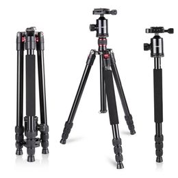 Monopods Neewer Aluminium Alloy 64 Inches/162 Cm Camera Travel Tripod Monopod with 360 Degree Ball Head,1/4 Inch Quick Shoe Plate