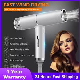 Dryers Household Hair Dryer High Power Electric Blow Drier Barbershop Hot Cold Wind Hairdryer Salon Hairdressing Blower