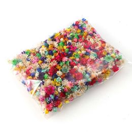 Other Arts and Crafts 100pcs/bag Mini Dried Flowers Natural Small Flower Head Making Epoxy Resin Craft Filling Artificial Flower Material DIY Supplies YQ240111