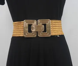 Belts Women's Runway Fashion Knitted Elastic Cummerbunds Female Dress Corsets Waistband Decoration Wide Belt R632