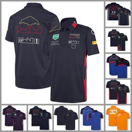 F1 new quick-drying POLO shirt custom repair clothes racing clothes Formula One quick-drying shirt T-shirt