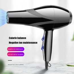 Dryer Large Hair Dryer Household Constant Temperature Hot And Cold Air Duct Does Not Hurt Mute Styling Tool Smart Care Appliances