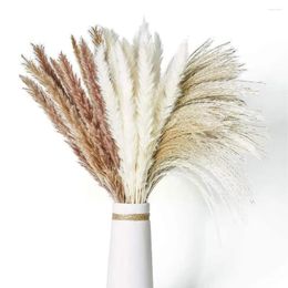 Decorative Flowers Dried Pampas Grass Set Artificiales Reed Wedding Party Decoracion Real Plants For Home Table Dec U0D8