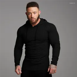 Men's T Shirts Autumn Fashion Hooded T-shirt Slim Fit Sweaters Mens Long Sleeve Knittwear Pullovers Tshirts Men Fitness Pull Homme