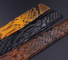 Belt AccessoriesFashion trouser strip cowhide fashion men039s headless 34cm accessories Python embossed leather body9494366