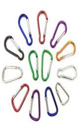 Lightweight Climbing Button Keyrings Key Chain Carabiner Camping Hiking Hook Outdoor Sport Aluminium Safety Buckle 100pcslot DLH08307850