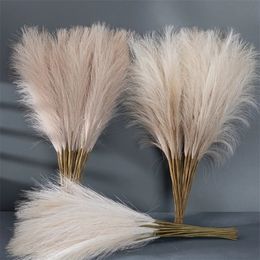 55CM 5/10/20 pieces of fluffy Pampas grass bohemian decorative flowers fake plants Reed simulated wedding party home decoration artificial flowers 240111