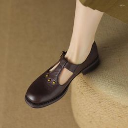 Dress Shoes Heihaian Mary Jane 2024 Fall Retro Style Commuter Good With Leather Round Toe Chunky Heels For Women 33-42