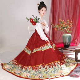 New Original Featured personality party dress Ming Dynasty Horse Face Skirt Hanfu Female Han Element Chinese Style Daily Hundred Pleated Long Skirt 210