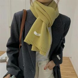 Thick Warm Scarf For Women Solid Colours Ladies Imitation Cashmere Scarf Unisex Winter Knitting Wool Scarves Shawl Wraps hijab 240111