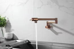 Kitchen Faucets Solid Brass Wall Mounted Pot Filler Faucet Dual Handles Double Joint Spout Cold Water Tap Rose Gold