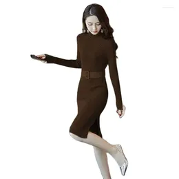 Casual Dresses Fleece Warm Dress Women's 2024Autumn And Winter Slim Half-turtleneck Knitted Skirt Long Knee-length Bottoming Hip Wome
