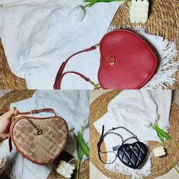 2024 Luxury Designer Small Shoulder Bag Women Fashion care bag Tote Bag camera bags Handbag leather law stick small square Bags mirror surface crossbody bag